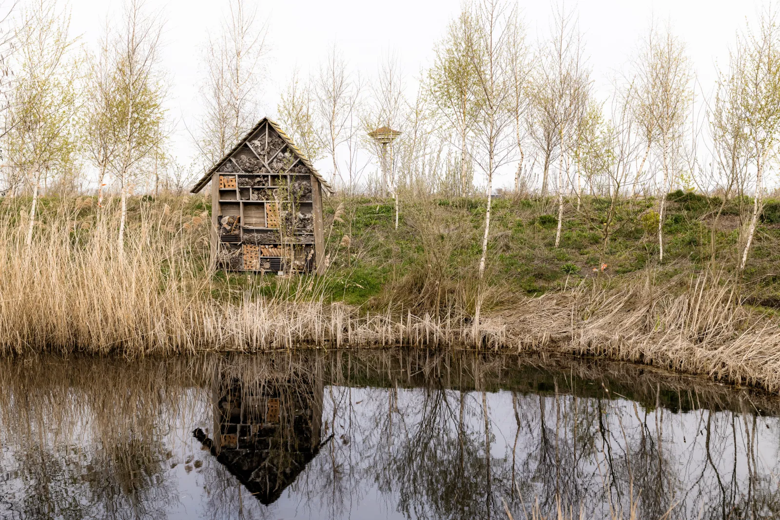 Een insectenhotel aan het water.