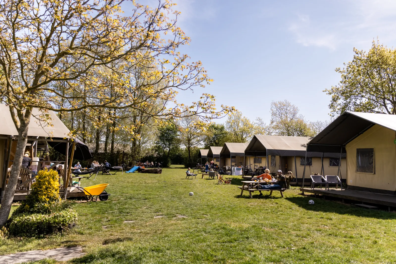 Een rij met vakantiewoningen bij een multifunctionele boerderij.