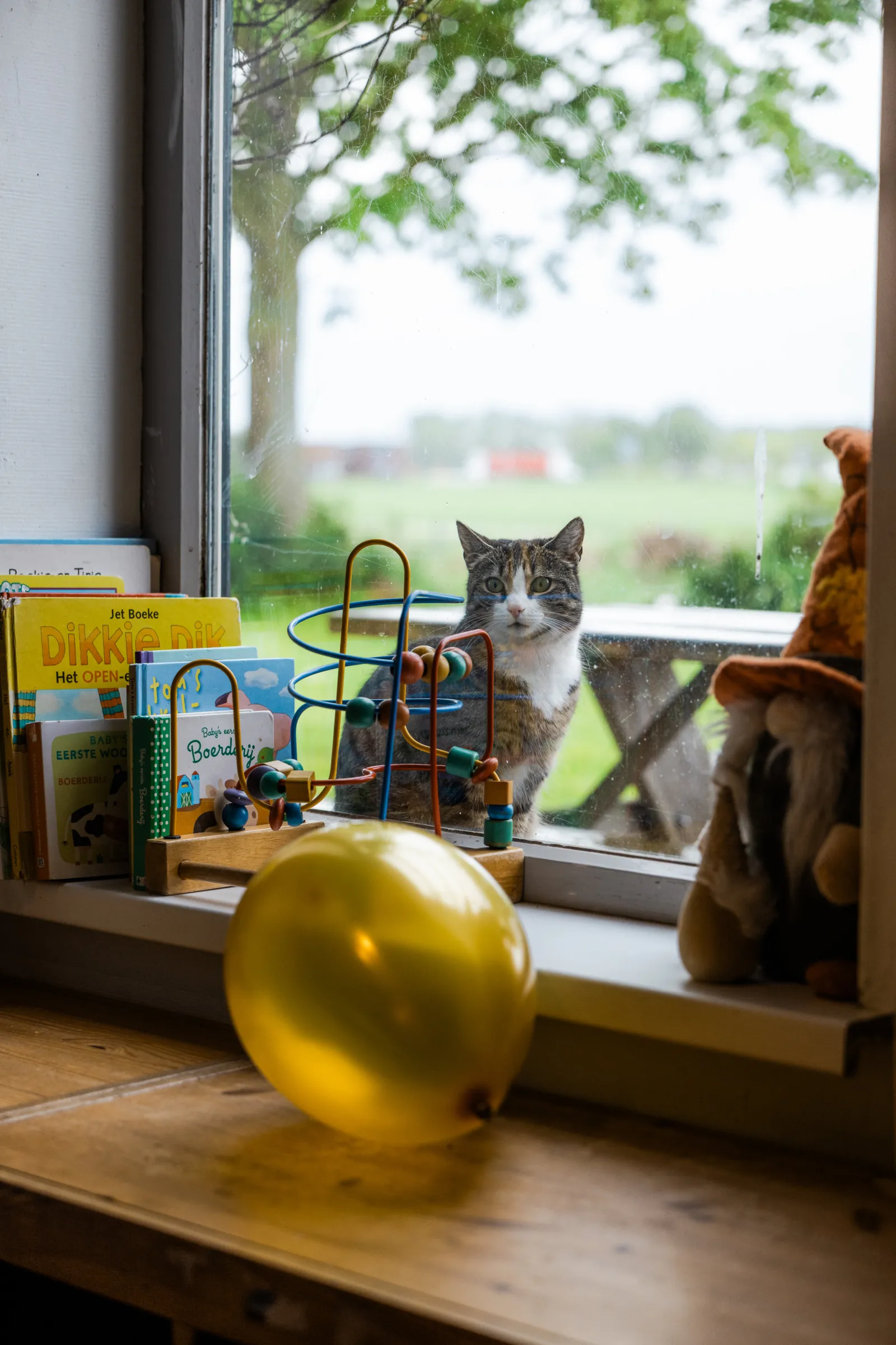 Speelgoed en kinderboeken.