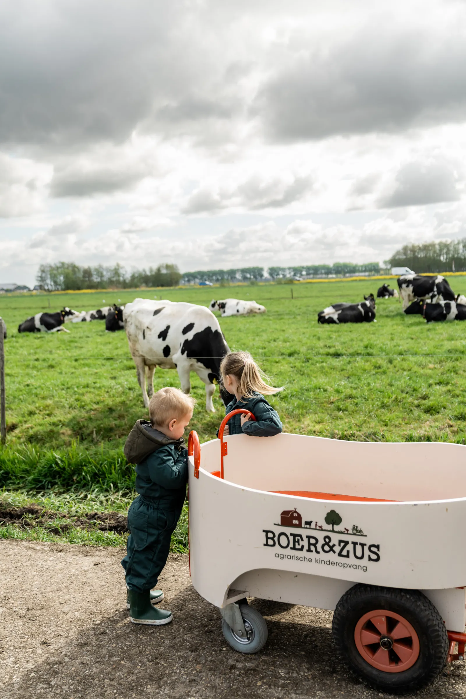 Twee kinderen zijn uit een kar geklommen om naar de koeien in het veld te kijken.