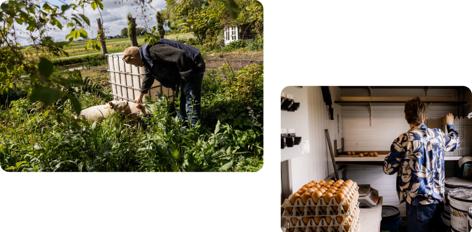 Boeren met een multifunctionele boerderij zijn bezig met het verzorgen van dieren en producten.