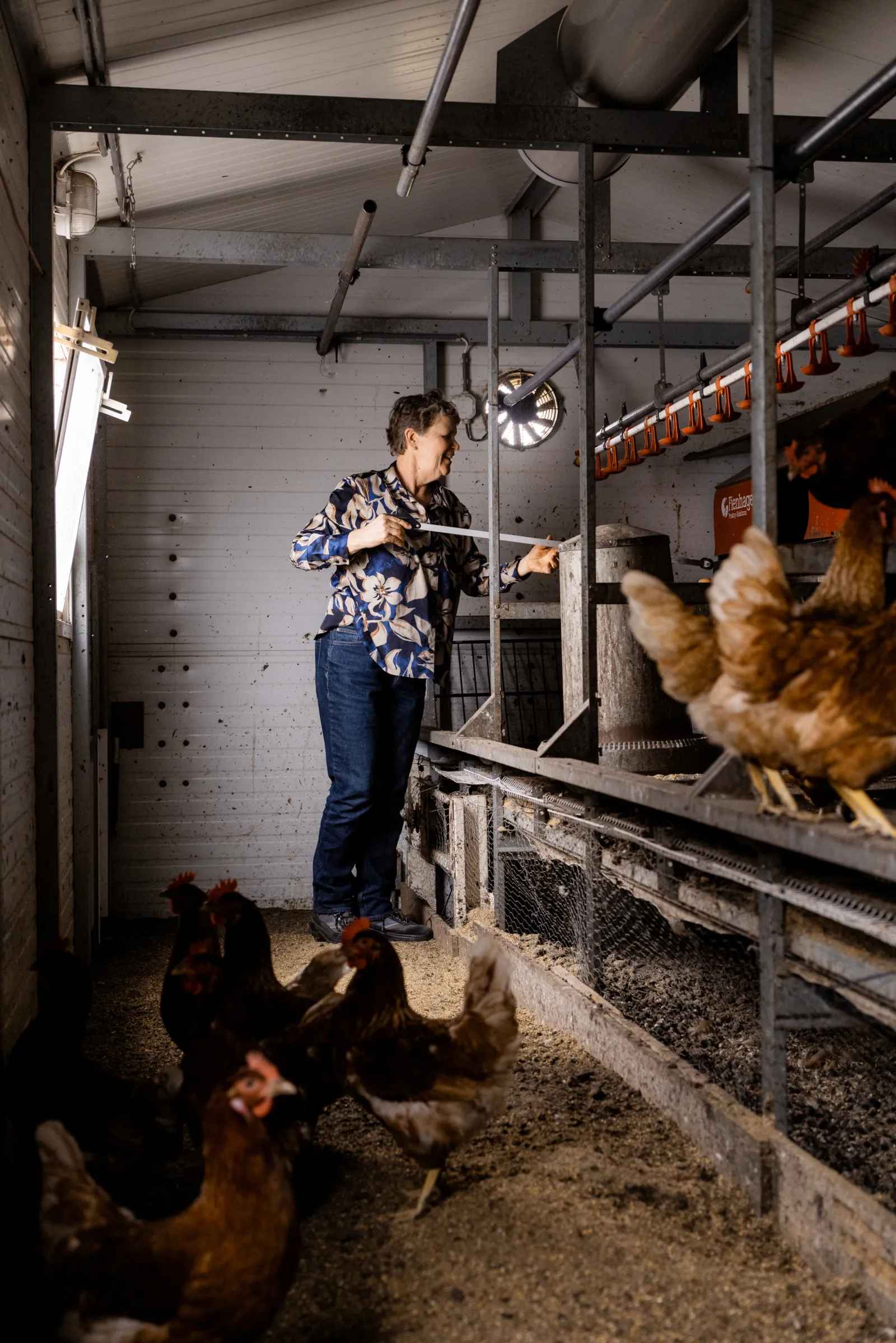 Henriëtte is bezig in de kippenren.