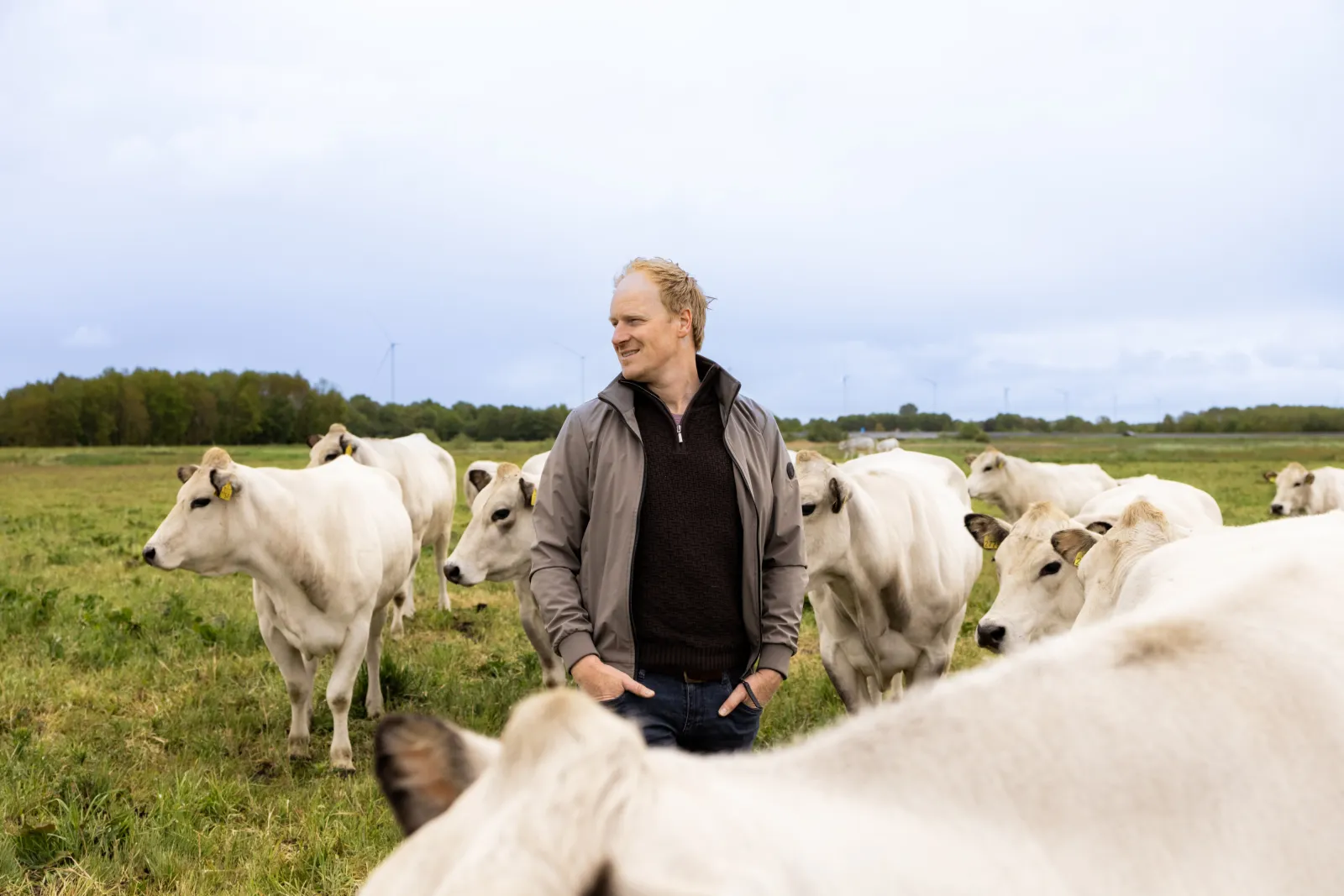 Roelof tussen zijn koeien