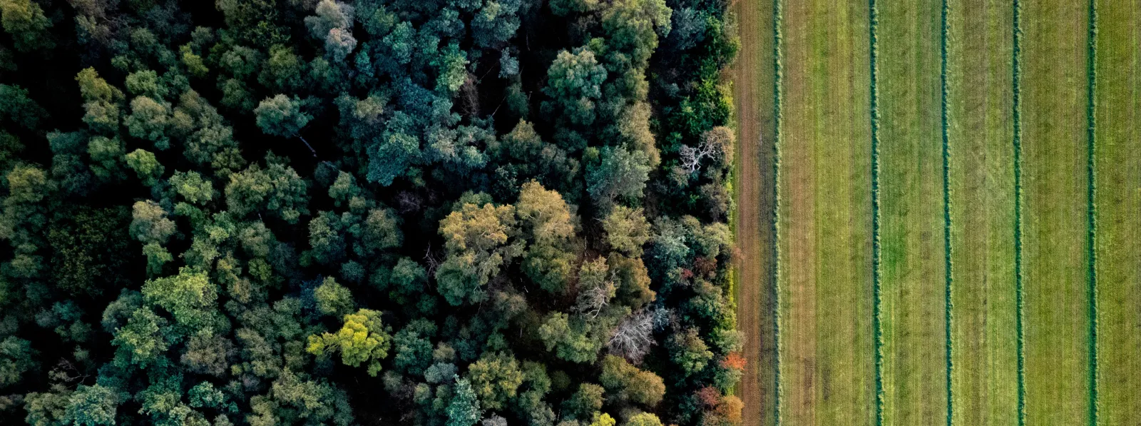 Een harde grens tussen landbouw en natuur.