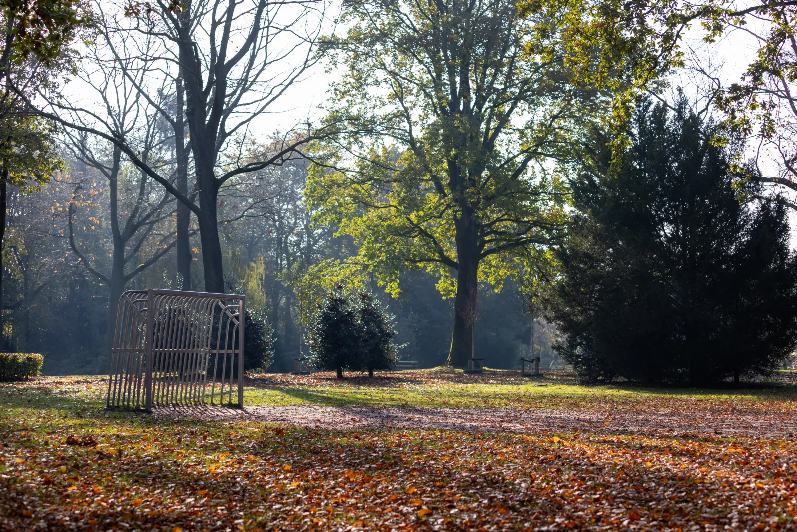 Een park in Someren