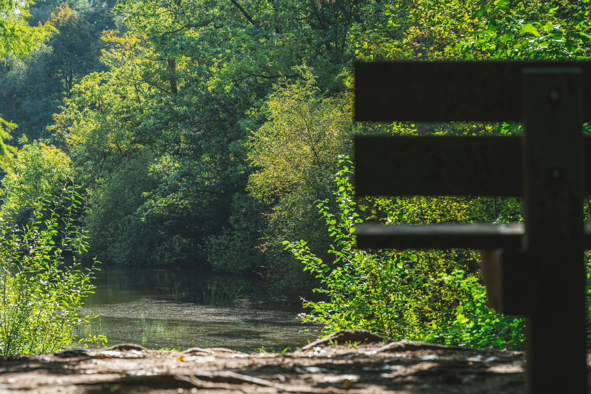 Een bankje in de buurt van de wijk Wandelbos